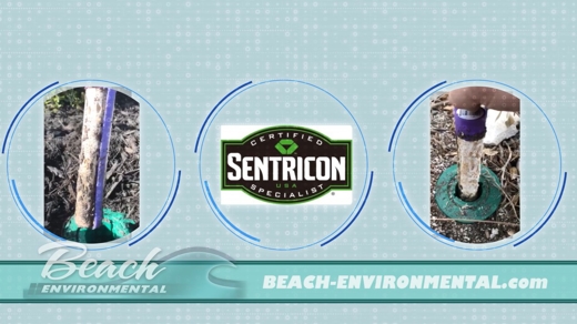 This image from Beach Environmental's website features three circles with the text "Certified Sentricon Specialist".