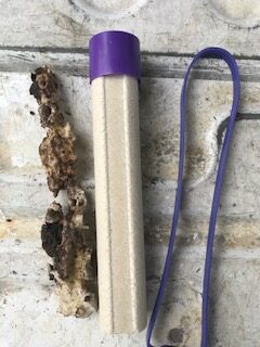 Termite Bait